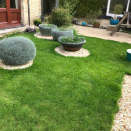 Techniques de taille pour maintenir un jardin esthétique et en bonne santé Creil